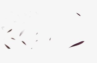 黑色简约花瓣漂浮素材86PS免抠