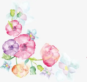 矢量手绘康乃馨水彩画11免抠