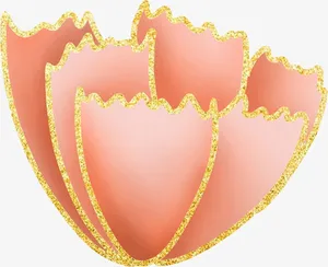 三八节康乃馨花朵免抠