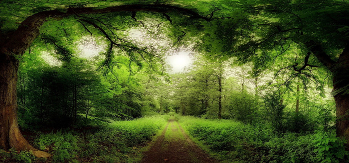 淘宝背景图高清