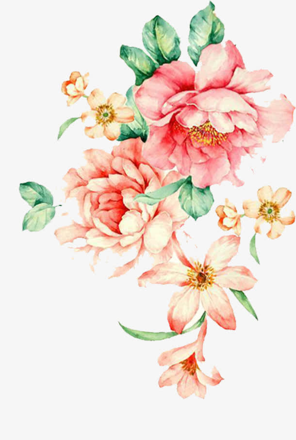 手绘花朵免抠