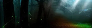 萤火虫森林背景高清