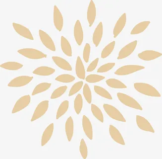 黄色花瓣免抠 黄色花瓣免抠