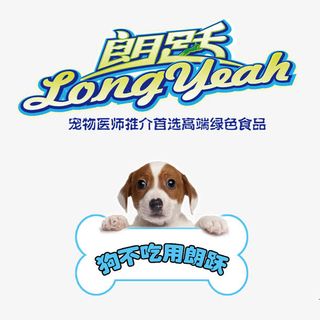 宠物店宣传单免抠