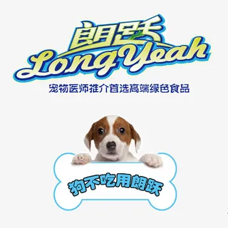 宠物店宣传单免抠