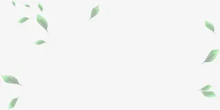 绿叶，叶子，淘宝素材，漂浮素材免抠