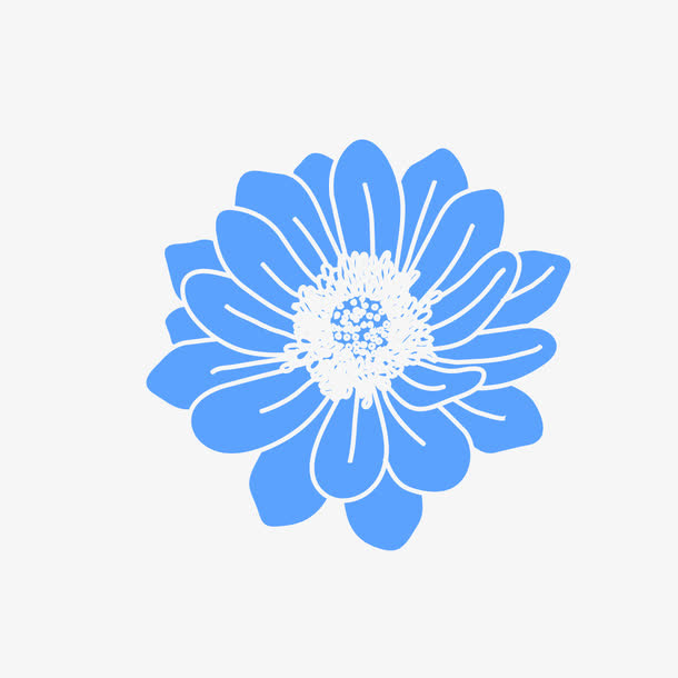盛开的花朵免抠