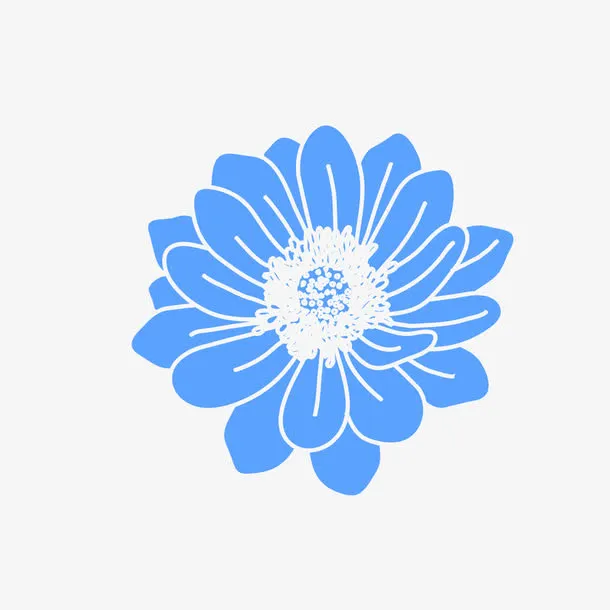 盛开的花朵免抠