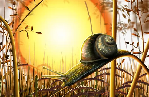 夕阳下的蜗牛免抠