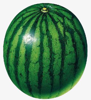 水果  西瓜 绿皮西瓜  水果店免抠