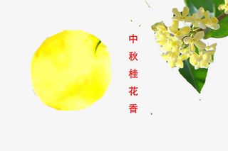 桂花香飘数里免抠