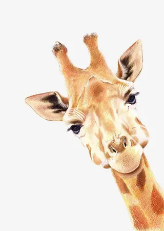 可爱的长劲鹿免抠