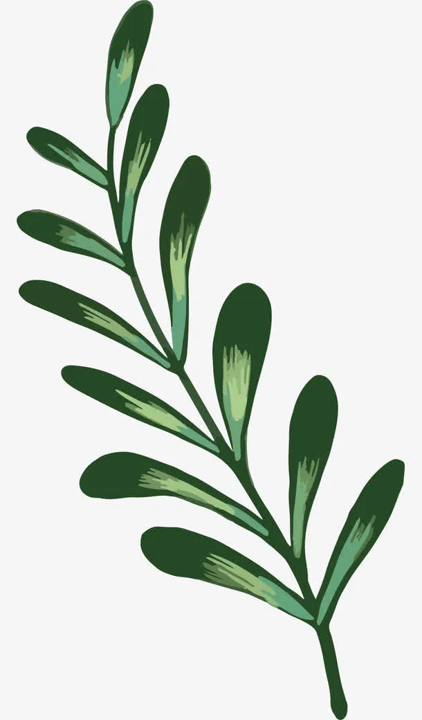 手绘树叶免抠