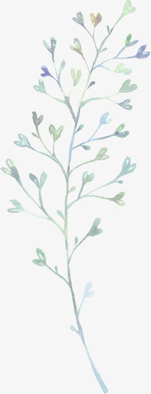 水彩植物树叶免抠