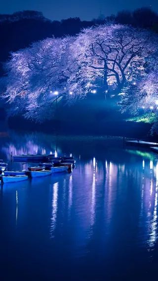 蓝色春天樱花APP手机端H5背景高清