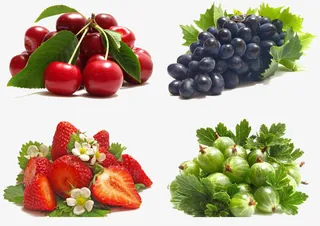 一个小聚会免抠