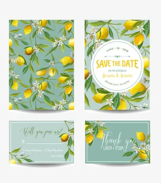清新柠檬卡片免抠