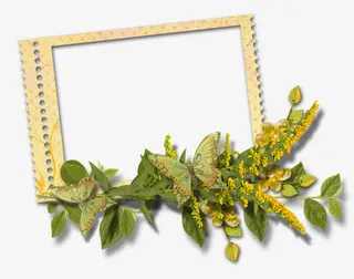 相框边框黄色绿叶边装饰免抠