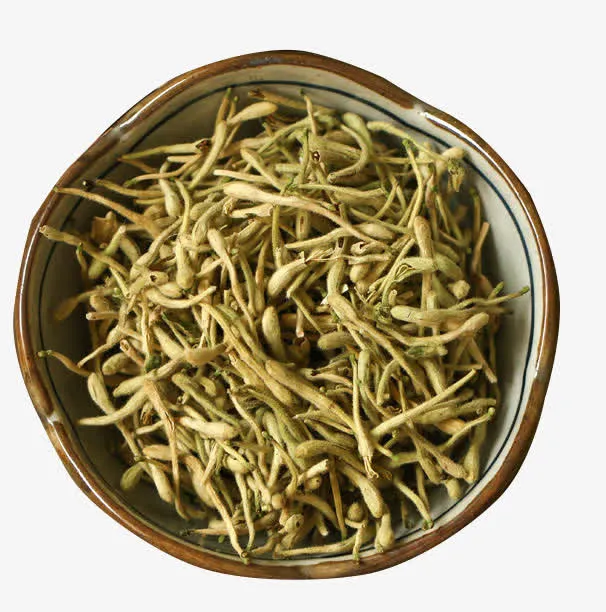 干货金银花免抠