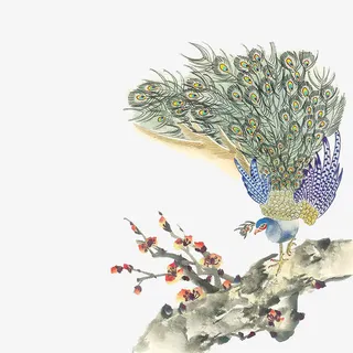 彩绘古风孔雀树枝免抠