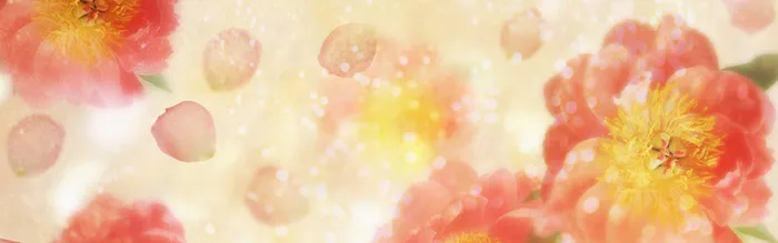 淘宝背景高清