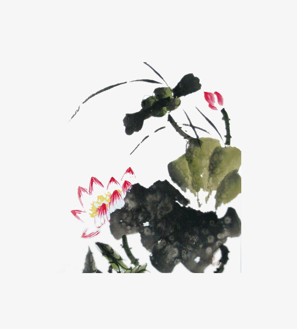 荷叶荷花元素免抠