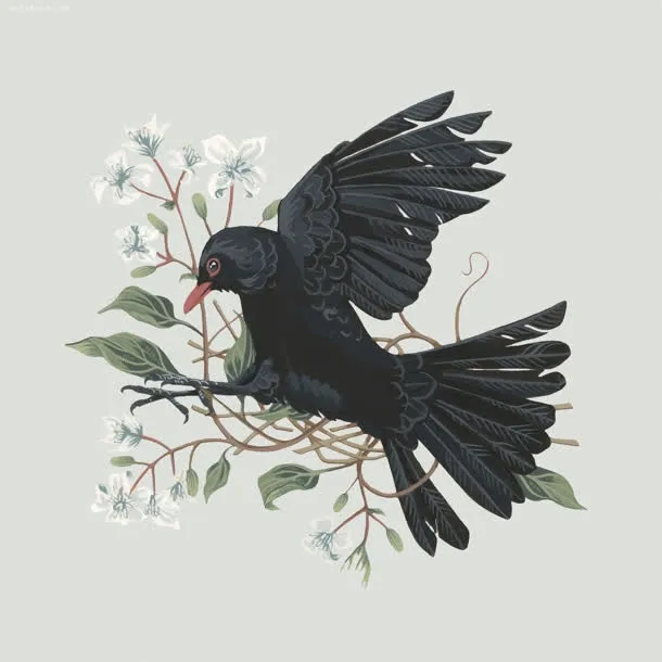 手绘树叶黑色小鸟免抠