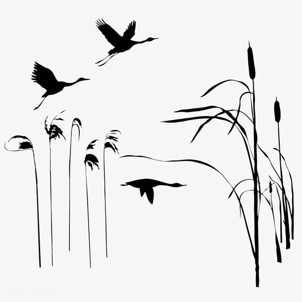 芦苇荡和飞燕黑白简约风装饰画免抠