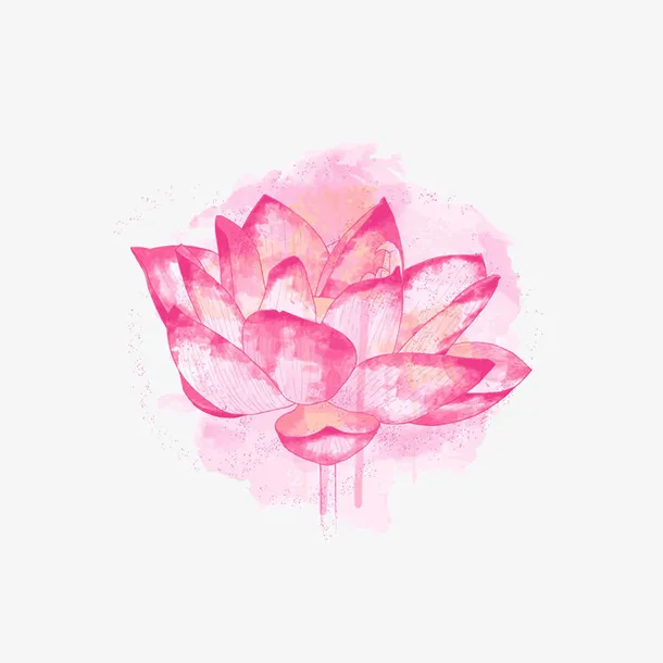 粉色水彩荷花免抠