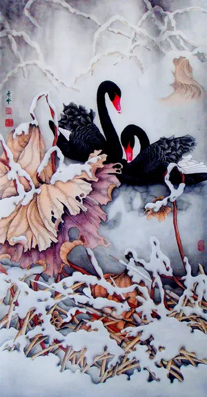 雪地里黑天鹅高清