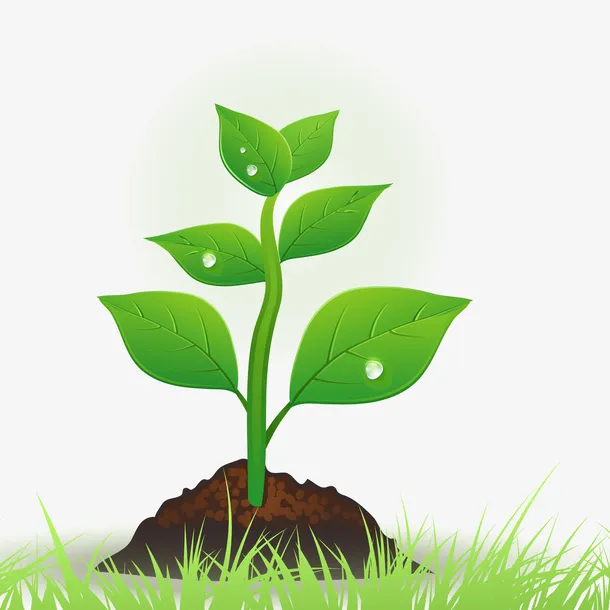 植物发芽矢量图下载免抠