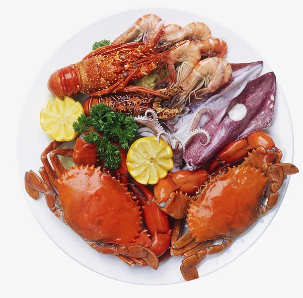 海鲜龙虾鱿鱼简图免抠