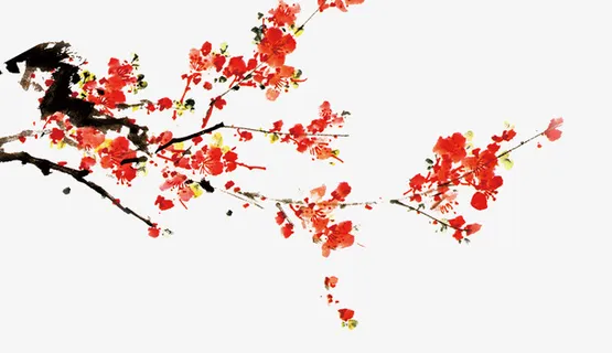 枝头梅花免抠