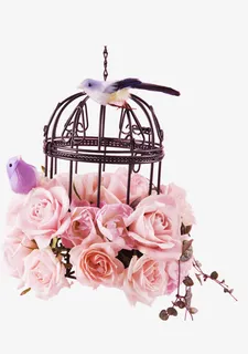粉色鸟笼免抠