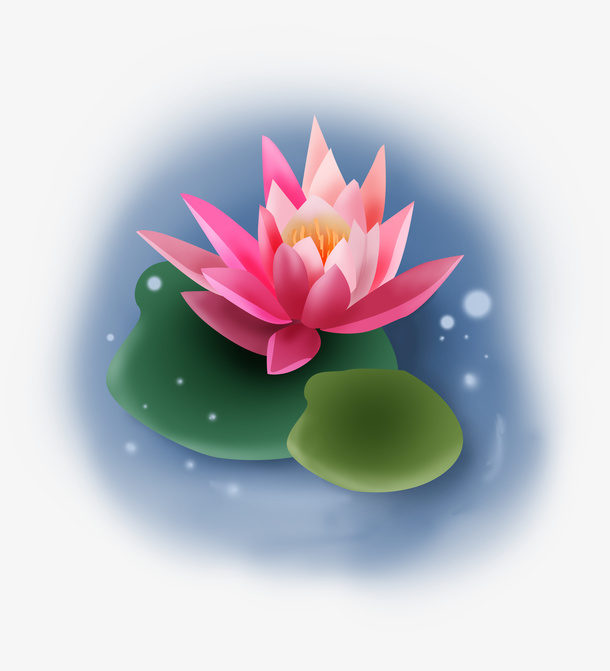 手绘莲花 荷花免抠