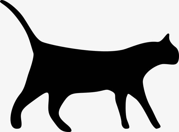 猫咪免抠