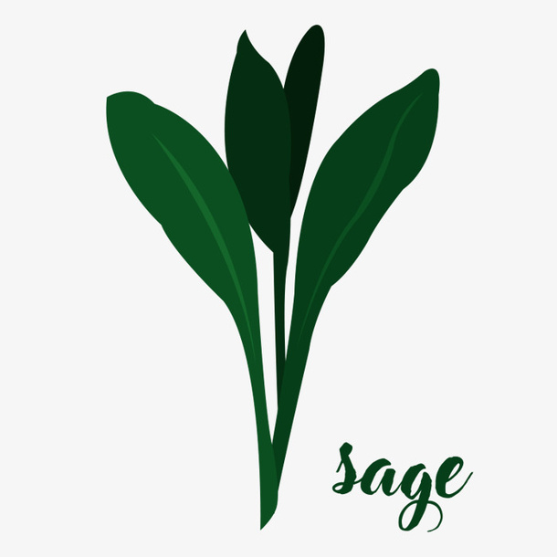 植物草本免抠