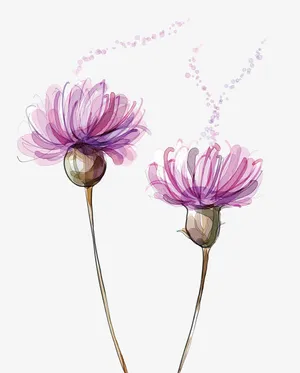 紫色花朵免抠
