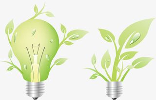 灯泡创意植物PNG矢量元素免抠