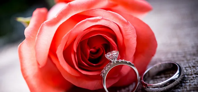 玫瑰戒指背景高清