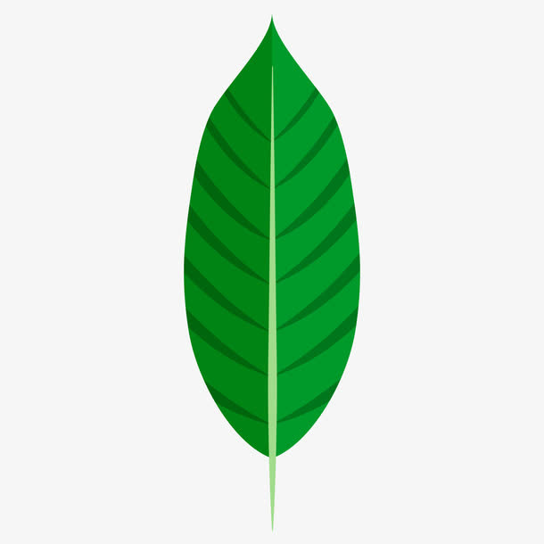 一片树叶免抠