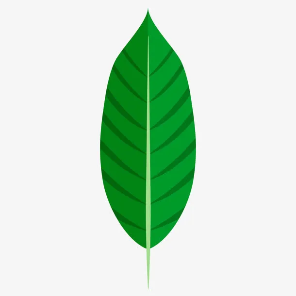 一片树叶免抠