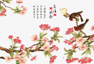 人间桂花免抠