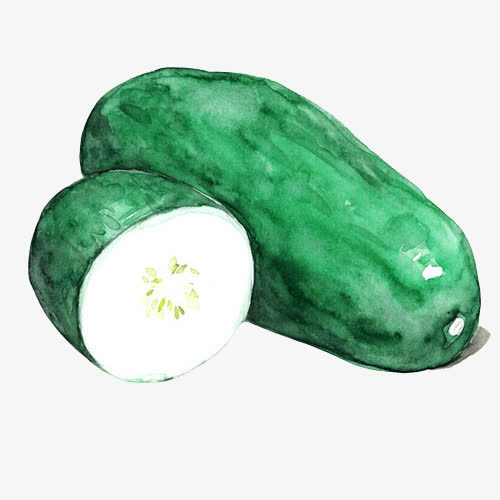 冬瓜手绘水彩素材图片免抠