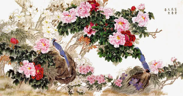 花鸟图免抠