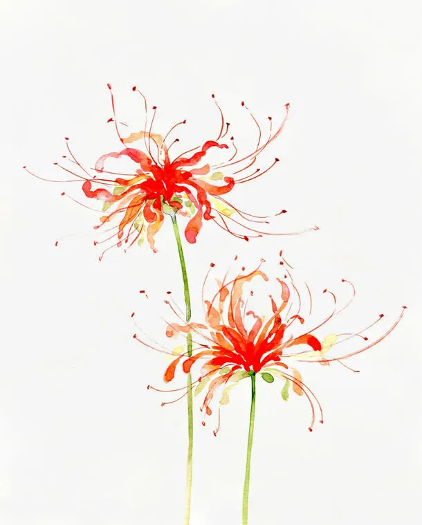 唯美古风水彩插画免抠