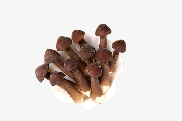 正在生长的鸡枞菌免抠