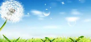 蒲公英绿色风光高清