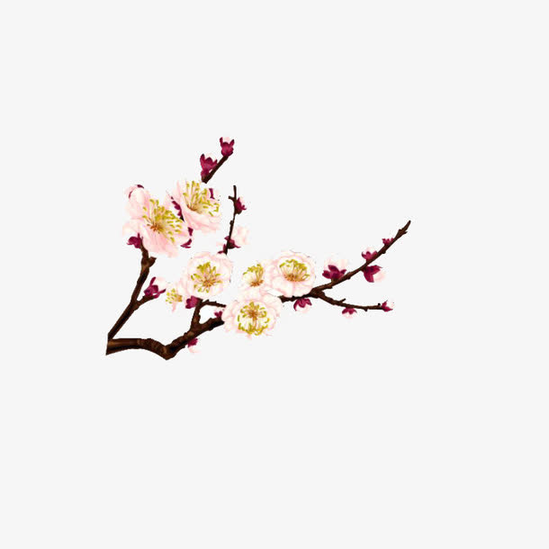 一剪梅免抠