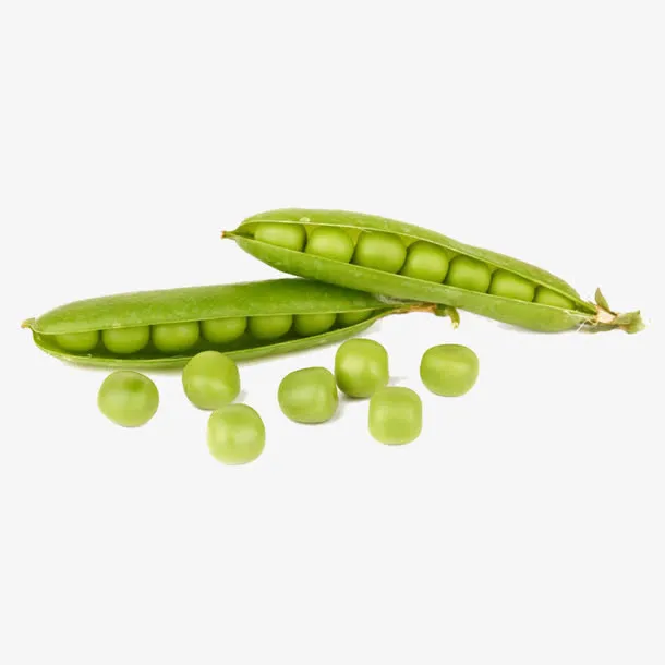 开壳的新鲜豌豆免抠